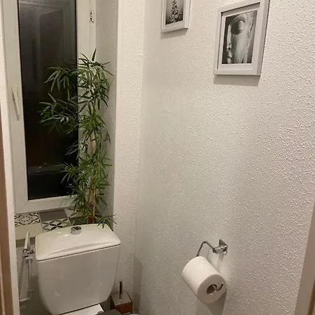 Chez Muriel,t2 De Charme, Parc Ste Marie, Thermal, Mon Desert Apartamento Nancy