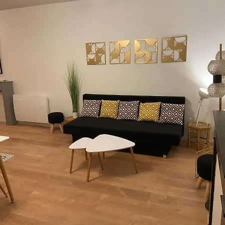 Chez Muriel,t2 De Charme, Parc Ste Marie, Thermal, Mon Desert Apartamento Nancy