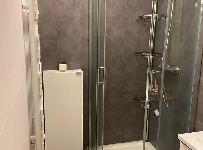 Chez Muriel,t2 De Charme, Parc Ste Marie, Thermal, Mon Désert Apartamento *